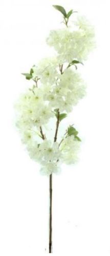 Flor de Cerezo Sakura Blanca